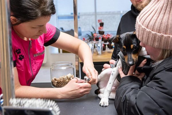 274032729_353307626802239_6739661426475640047_n