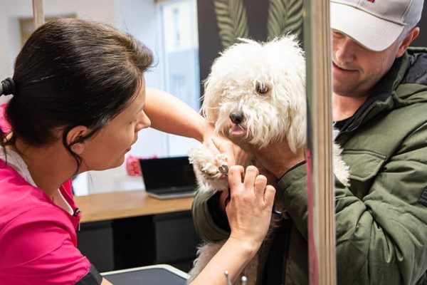 274477668_353308210135514_7649655047344528411_n