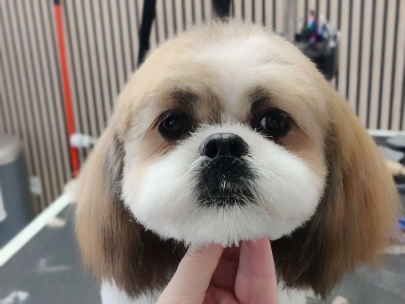 278573743_395741575892177_5608616947682243794_n