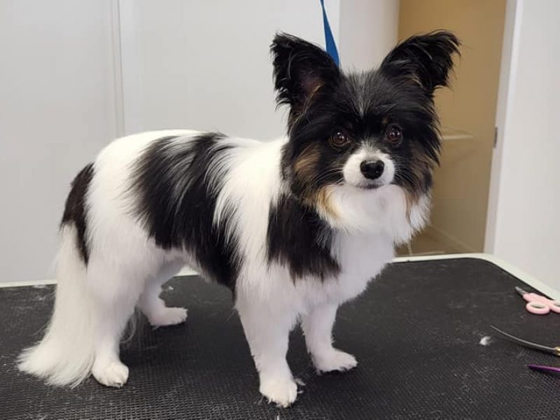 305239972_489790049820662_1204395880511274377_n